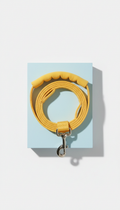 Sturdy Everyday Leash with Padded Loop