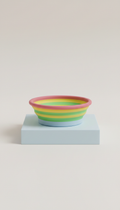 Collapsible Travel Water Bowl