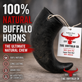 Buffalo Horn-Small (4-5 Inch)-Dog Treats