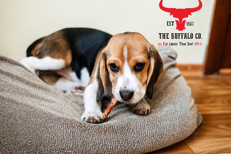 Buffalo Tail - Dog Treats