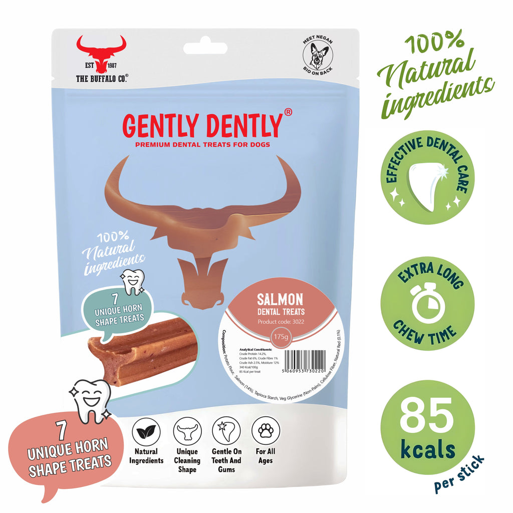Gently Dently- Salmon Dental Treats for Dogs 175g