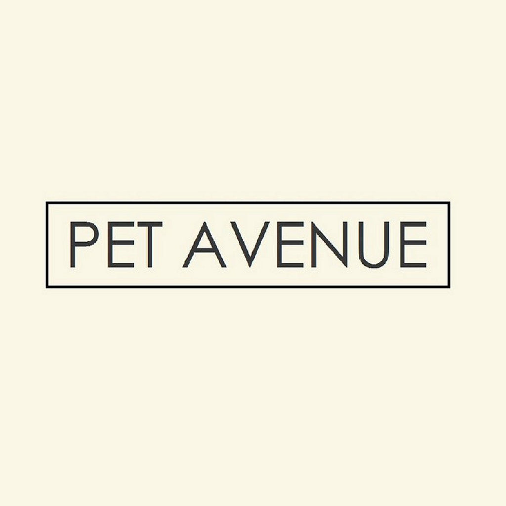 Pet Avenue Winter Couture Dog Coats Pack