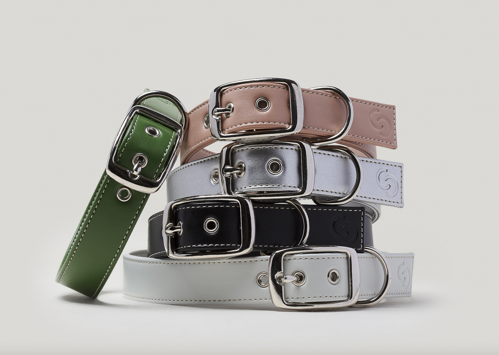 Ice blue vegan apple leather dog collar