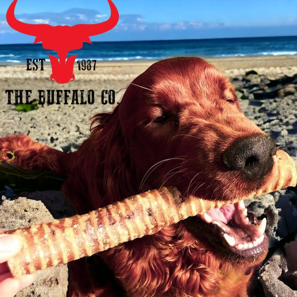 Buffalo Trachea Rounds - Dog Treats - 1kg