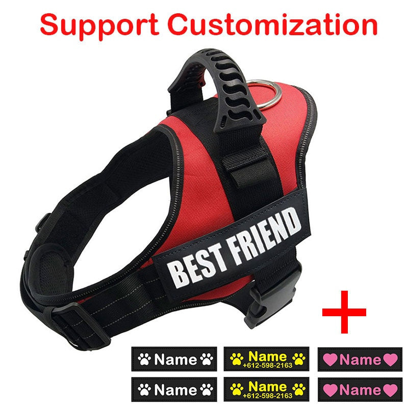 Dog Harness ID Tag Custom Harness