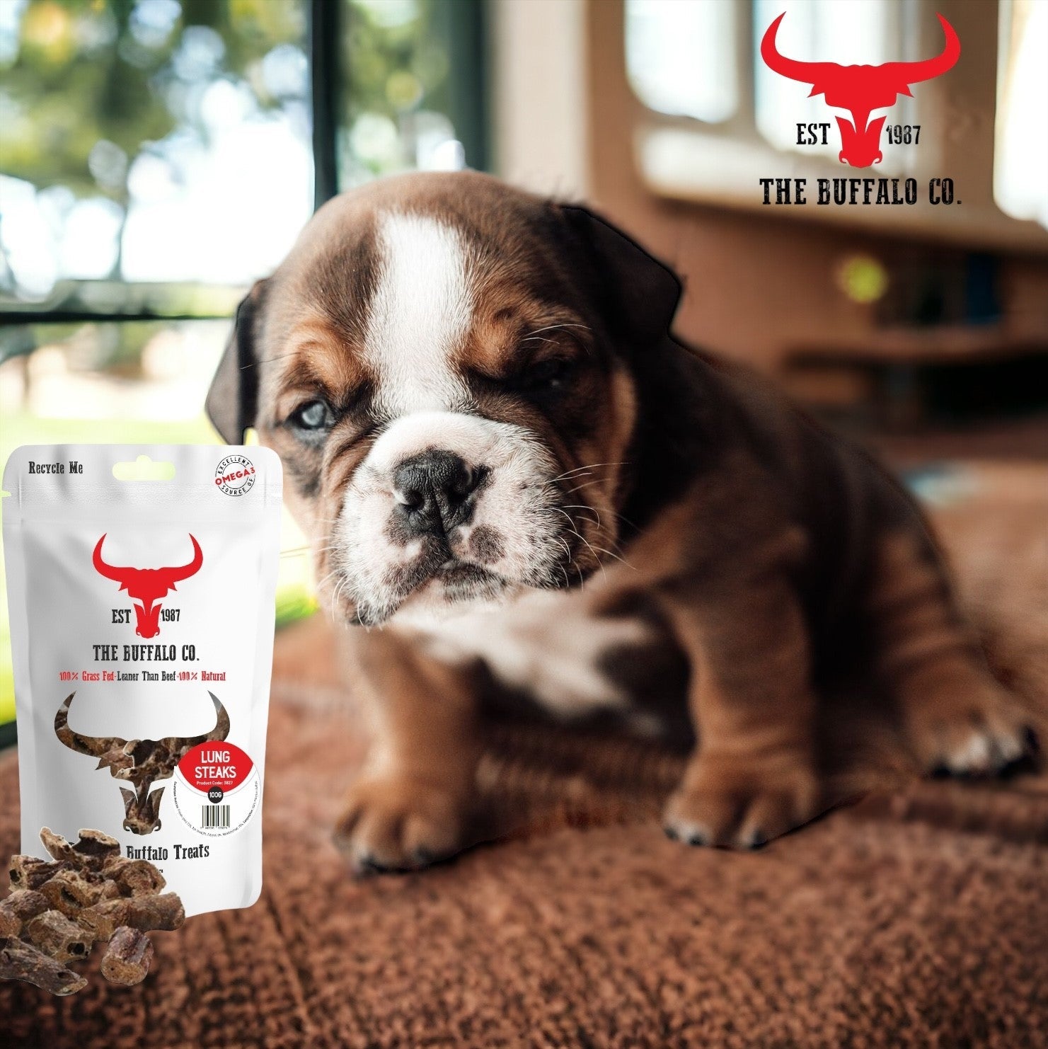 Buffalo Lung Steaks - Dog Treats - 1kg