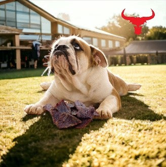 Buffalo Meat Jerky - Dog Treats - 1kg